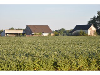 Property photo 10 - 204.5 +/- Acres Offered in 3 Tracts - Farmland Auction